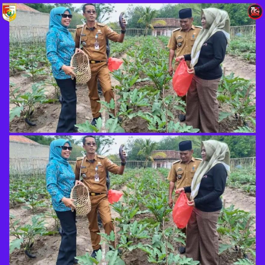 Panen Raya Tim PKK Tiyuh Gunung Katun Tanjungan